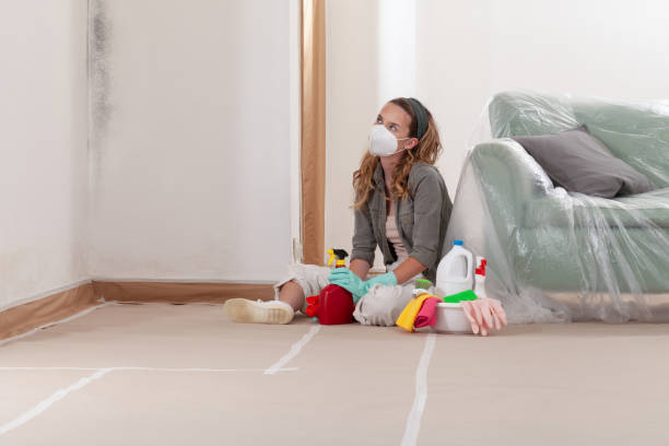 Reliable Mold Testing contractor in Georgetown, IL by WQB Mold Removal